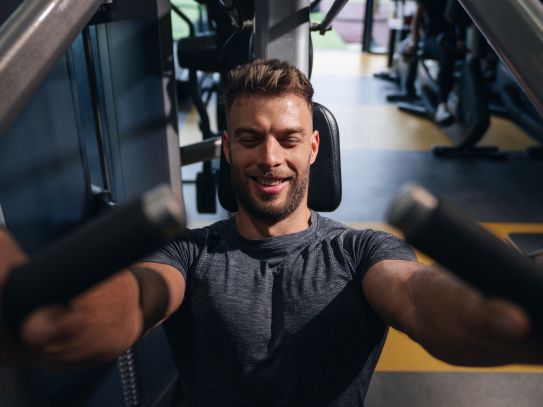 <p>Krafttraining und <strong>Testosteron</strong></p>